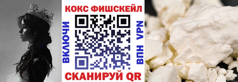 COCAIN FishScale  mega как зайти  Оренбург  цена  