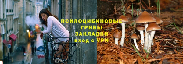 a pvp Абаза