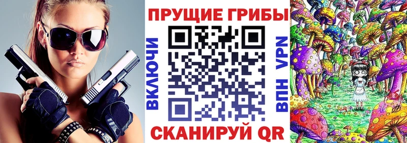 Псилоцибиновые грибы GOLDEN TEACHER  купить закладку  Оренбург 